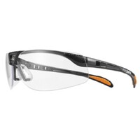 Protege Safety Glasses Clear
